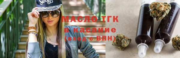 индика Каменногорск