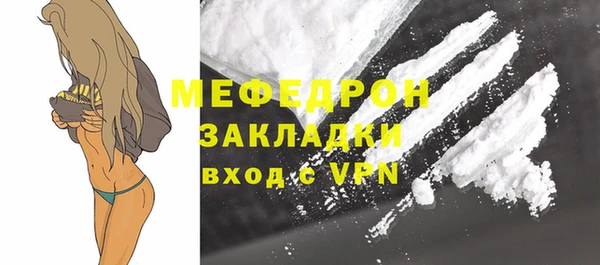 индика Каменногорск
