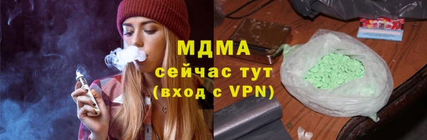 индика Каменногорск
