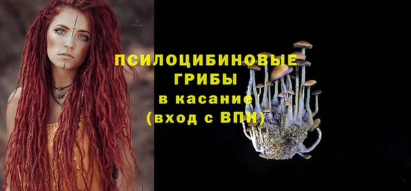 СК Каменск-Шахтинский