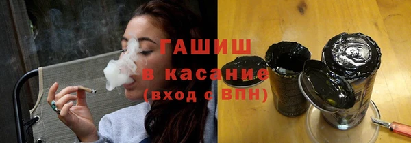 индика Каменногорск