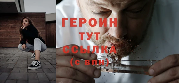 индика Каменногорск
