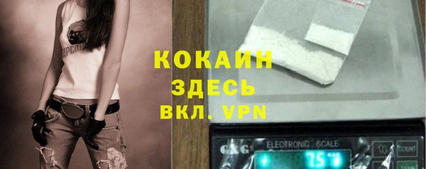 СК Каменск-Шахтинский