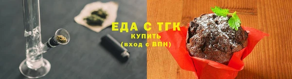 индика Каменногорск