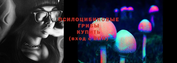 СК Каменск-Шахтинский