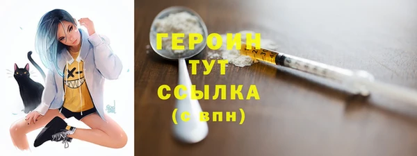 индика Каменногорск