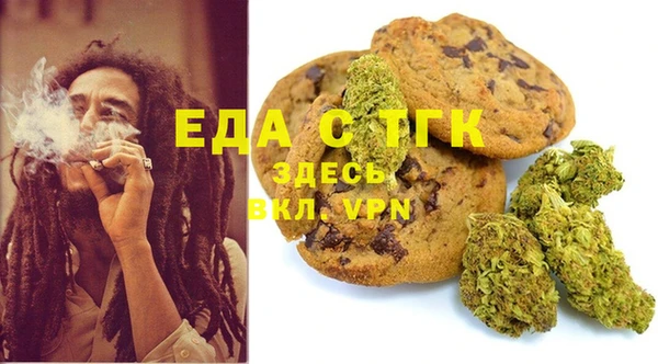 индика Каменногорск