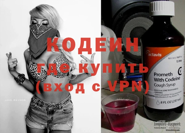 индика Каменногорск