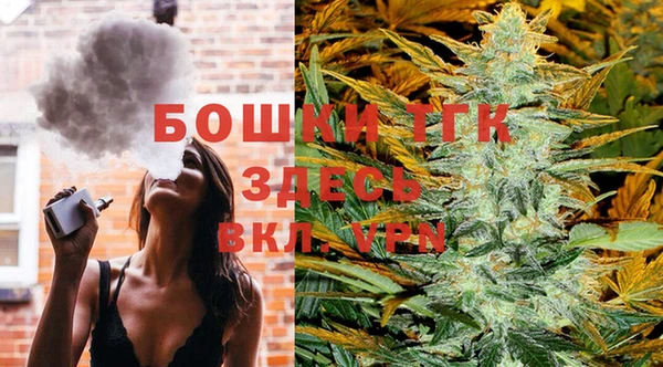 индика Каменногорск