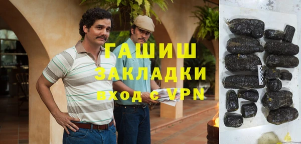 индика Каменногорск