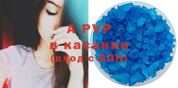 индика Каменногорск