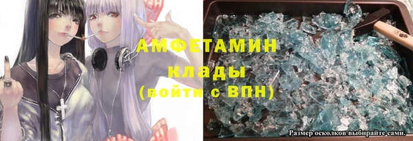 индика Каменногорск