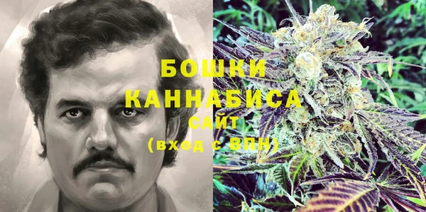 индика Каменногорск