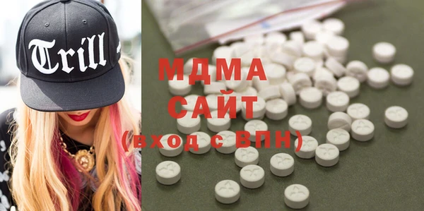 индика Каменногорск
